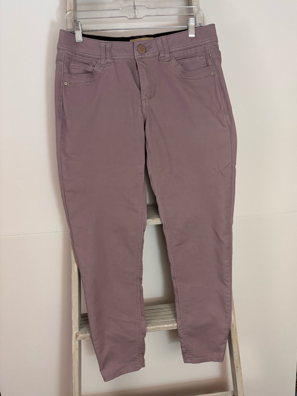 Democracy Dusty Mauve Slim Pants, Ab technology, casual, minimalist, preppy